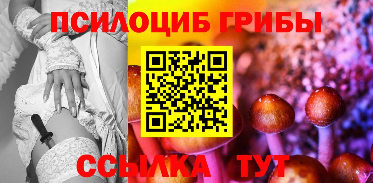 Псилоцибиновые грибы GOLDEN TEACHER  Вход с VPN  где купить   Карпинск 