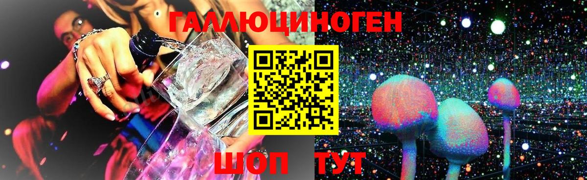 Псилоцибиновые грибы MAGIC MUSHROOMS Карпинск